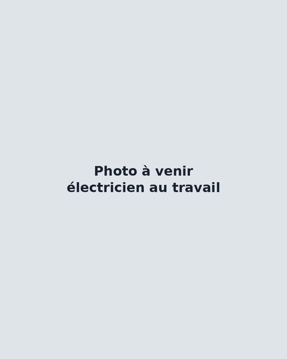Électricien raccordant des disjoncteurs dans un tableau